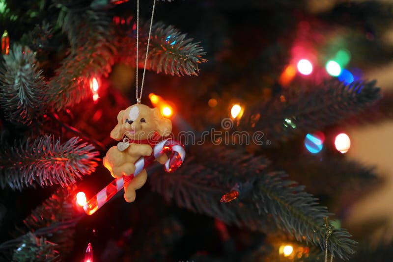 Perrito con el bastón de caramelo - ornamento retro del árbol de navidad fotos de archivo libres de regalías Perrito con el bastón de caramelo - ornamento retro del árbol de navidad fotos de archivo libres de regalías