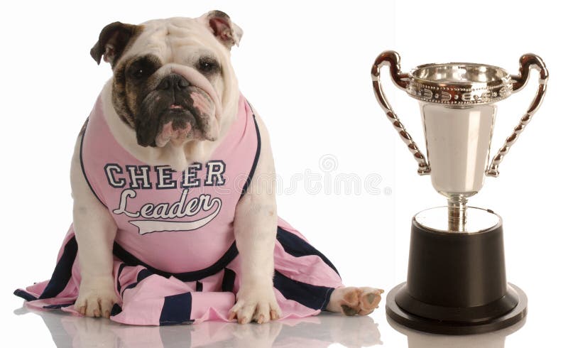 Perro Cheerleading imagen de archivo Perro Cheerleading imagen de archivo
