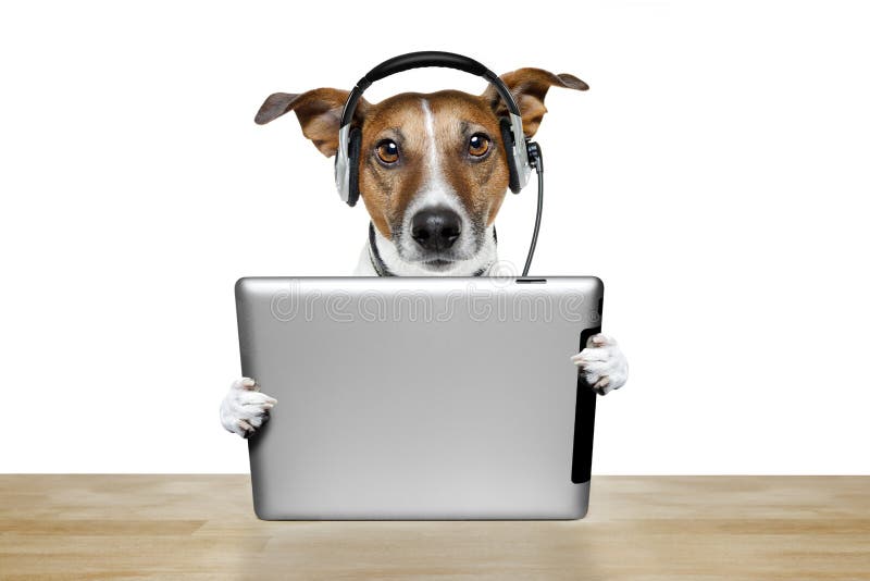 Perro con el ipad Perro con el ipad