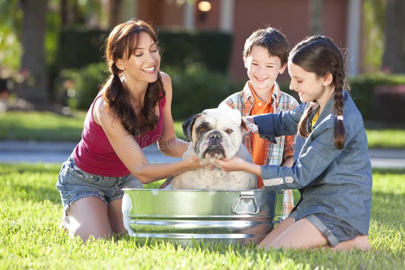 Perro de animal doméstico de la familia que se lava en una tina de baño del estaño imagen de archivo Perro de animal doméstico de la familia que se lava en una tina de baño del estaño imagen de archivo