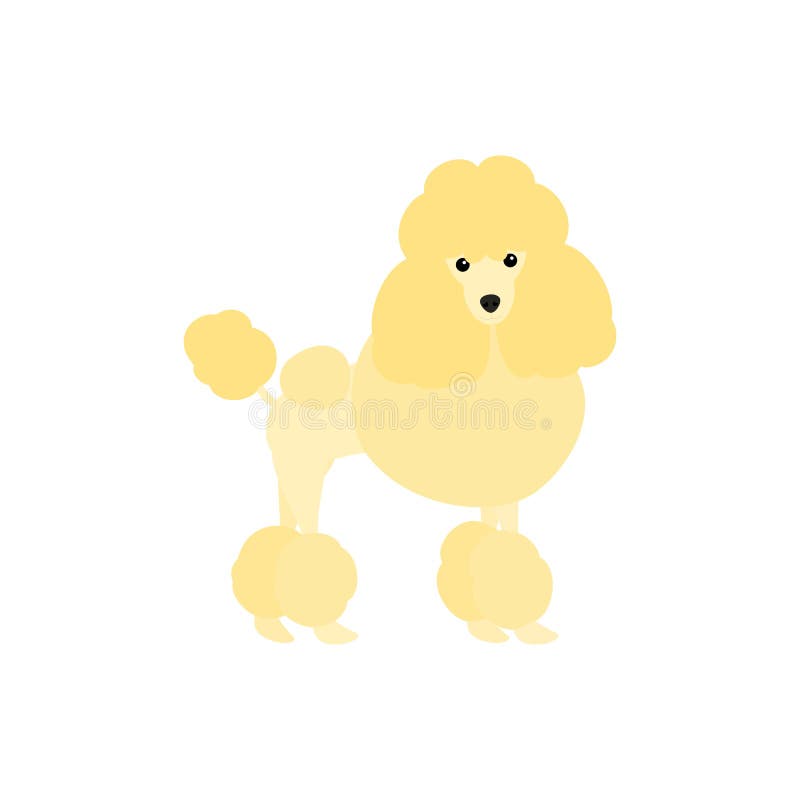 Perro De Caniche Lindo Aislado En Fondo Blanco. Vector De Icono De Cachorro De Perro Con Dibujos Animados. Ilustración Vectorial I Ilustración del Vector - Ilustración de tarjeta, mullido: 178882954 Perro De Caniche Lindo Aislado En Fondo Blanco. Vector De Icono De Cachorro De Perro Con Dibujos Animados. Ilustración Vectorial I Ilustración del Vector - Ilustración de tarjeta, mullido: 178882954