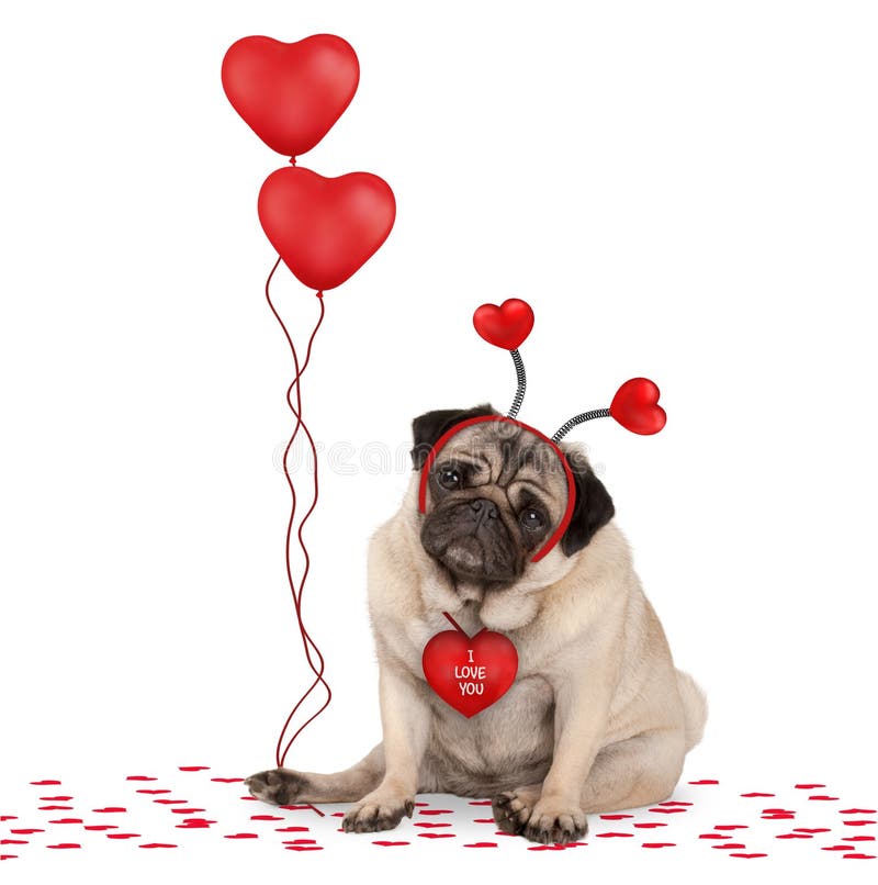 Perro de perrito lindo precioso del barro amasado del día de tarjetas del día de San Valentín que se sienta en confeti, diadema d foto de archivo libre de regalías Perro de perrito lindo precioso del barro amasado del día de tarjetas del día de San Valentín que se sienta en confeti, diadema d foto de archivo libre de regalías