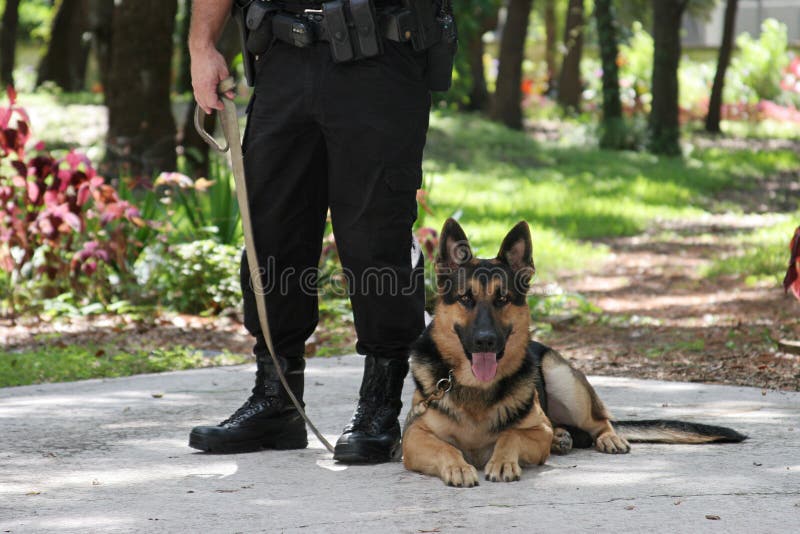 Perro de policía 2 fotografía de archivo Perro de policía 2 fotografía de archivo