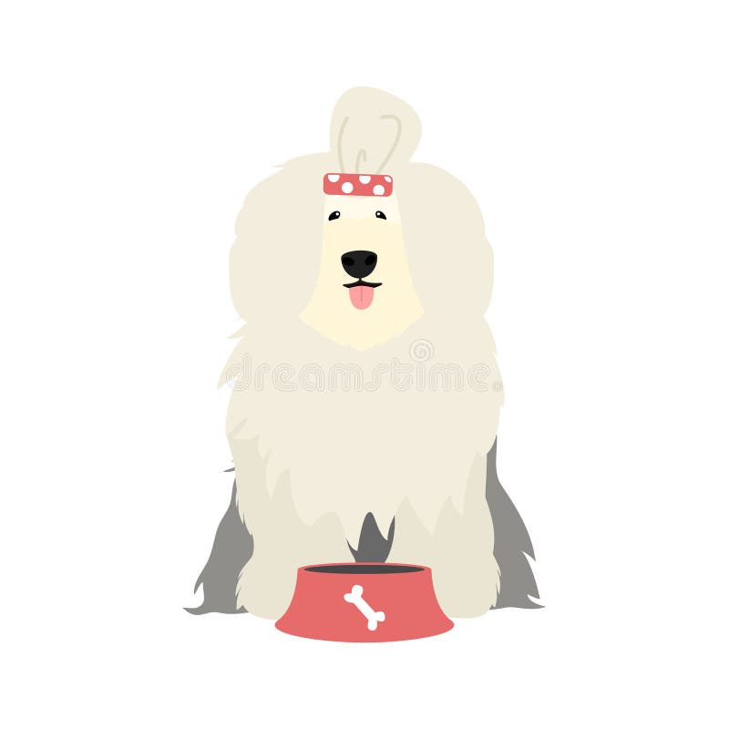 Perro inglés viejo hambriento detrás de tazón de comida y lamiendo con la lengua aislado en fondo blanco Perro de pelo largo, com stock de ilustración