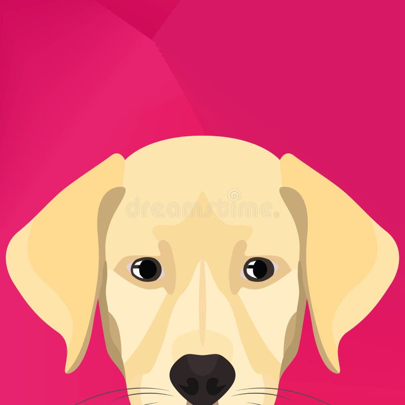 Perro Labrador del ejemplo que mira sobre la pared stock de ilustración