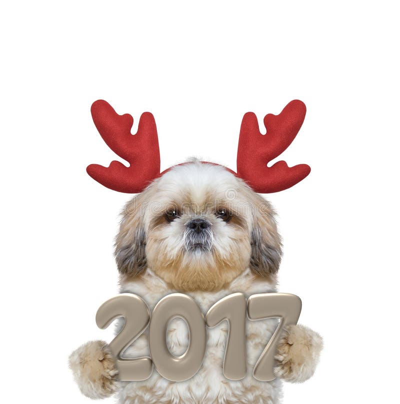 Perro lindo de santa en astas del reno con 2017 números del Año Nuevo fotos de archivo Perro lindo de santa en astas del reno con 2017 números del Año Nuevo fotos de archivo