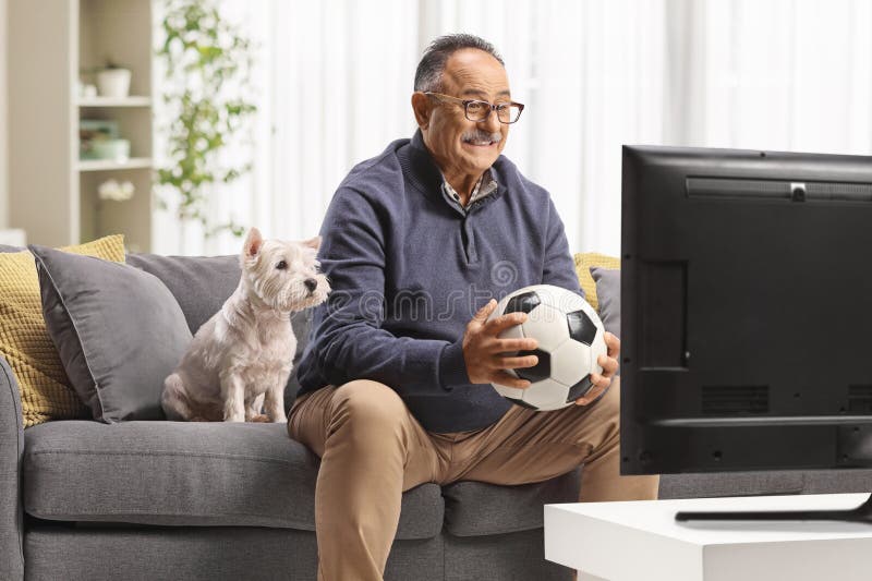 Perro occidental lindo sentado en un sofá con un hombre mirando un partido de fútbol fotos de archivo