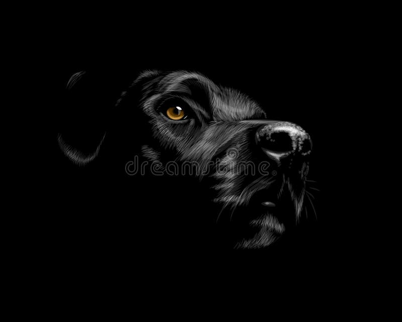 Perro perdiguero de Labrador negro ilustración del vector Perro perdiguero de Labrador negro ilustración del vector
