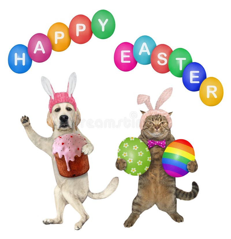 recoger Fuera de borda Automáticamente Perro Y Gato En Sombreros Celebran La Pascua Imagen de archivo - Imagen de mascota, conejito: 215093459 recoger Fuera de borda Automáticamente Perro Y Gato En Sombreros Celebran La Pascua Imagen de archivo - Imagen de mascota, conejito: 215093459