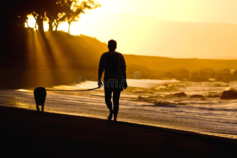Perro y propietario en la playa de la puesta del sol foto de archivo Perro y propietario en la playa de la puesta del sol foto de archivo