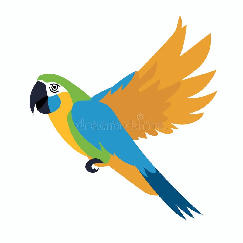 Macaw Volant Avec Des Ailes à Rayures Multicolores. Grand Perroquet  Tropical à Queue Longue. Oiseau De La Jungle Exotique De L'arc Illustration  de Vecteur - Illustration du brindille, jungle: 230249931
