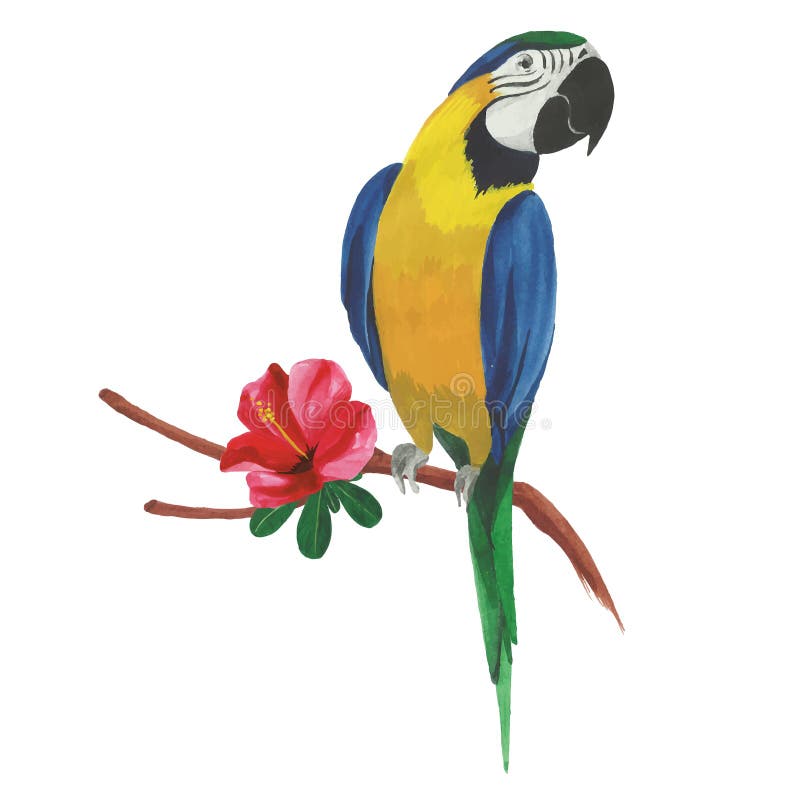 Perroquet d'isolement d'aquarelle avec les fleurs et les feuilles tropicales illustration libre de droits Perroquet d'isolement d'aquarelle avec les fleurs et les feuilles tropicales illustration libre de droits