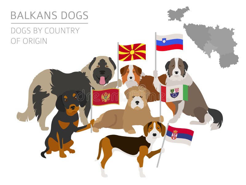Perros por el país de origen Razas del perro de Balcanes: Macedonio, Bosni