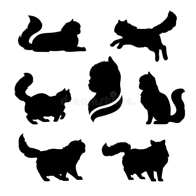 Perserkattsymboler och konturer royaltyfri illustrationer Perserkattsymboler och konturer royaltyfri illustrationer