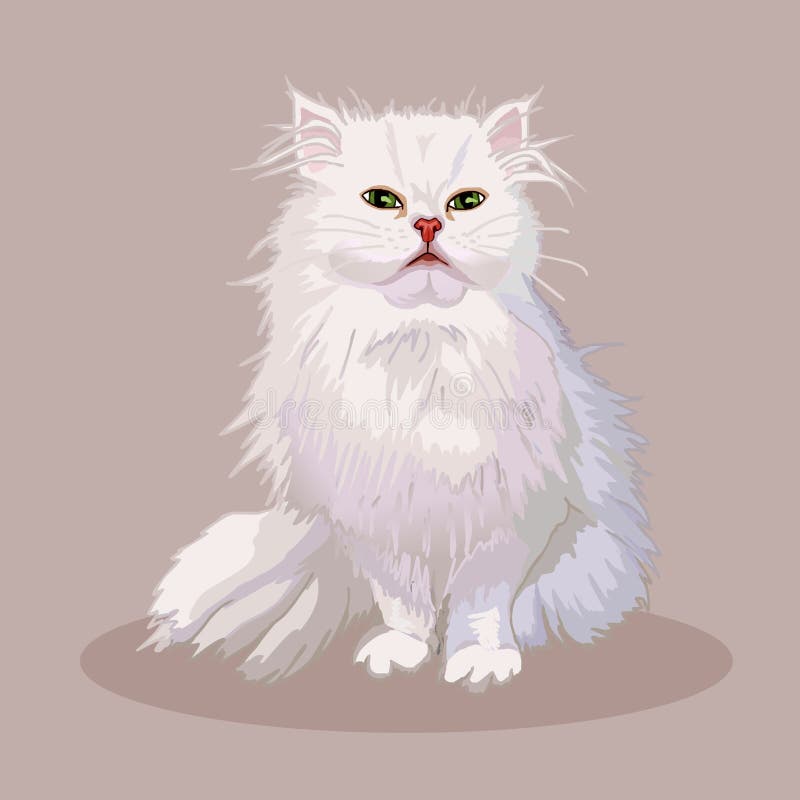 Premium Vector  Persian cat icon feline breed funny pet