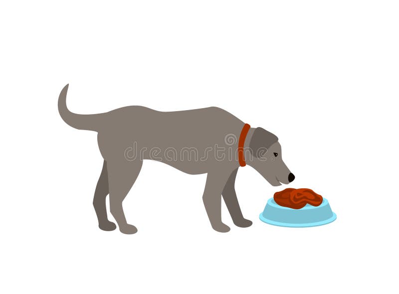 Persiga comer a ilustração isolada do vetor da carne do alimento desenhos animados crus