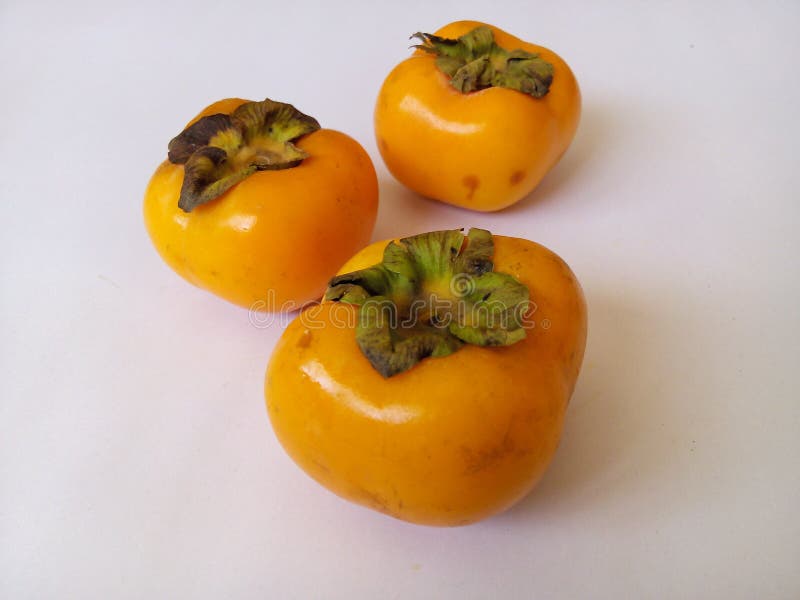 Persimmon