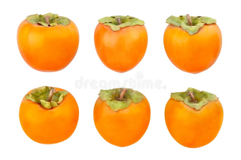 Persimmon