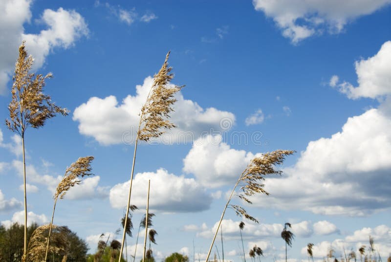 Perso nel paradiso fotografia stock libera da diritti