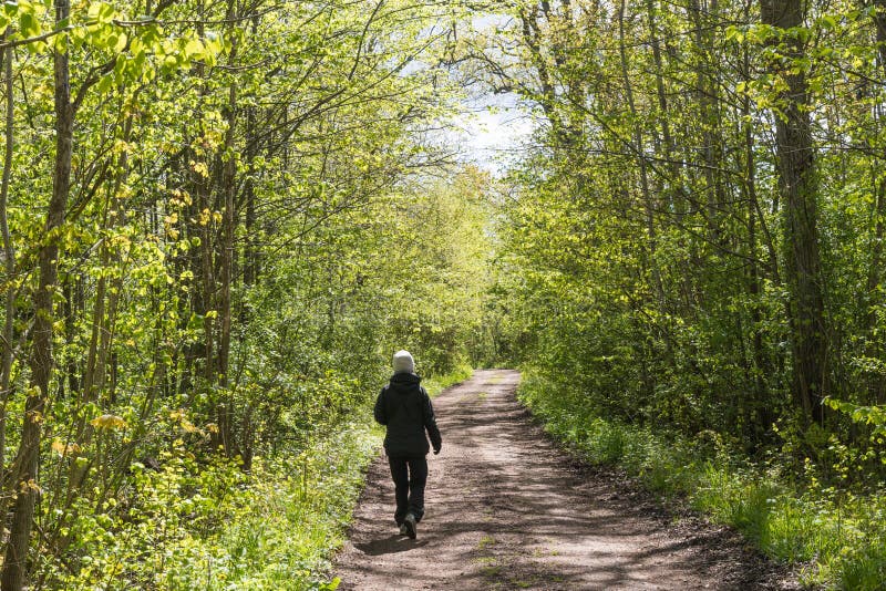 Person on a Footpath in a Bright Green Forest Stock Photo ...