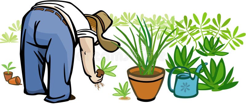 Person Gardening ilustración del vector. Ilustración de crecimiento