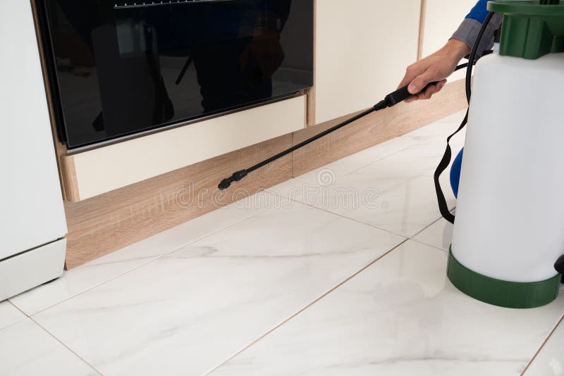Person Hands Spraying Insecticide arkivfoton Person Hands Spraying Insecticide arkivfoton
