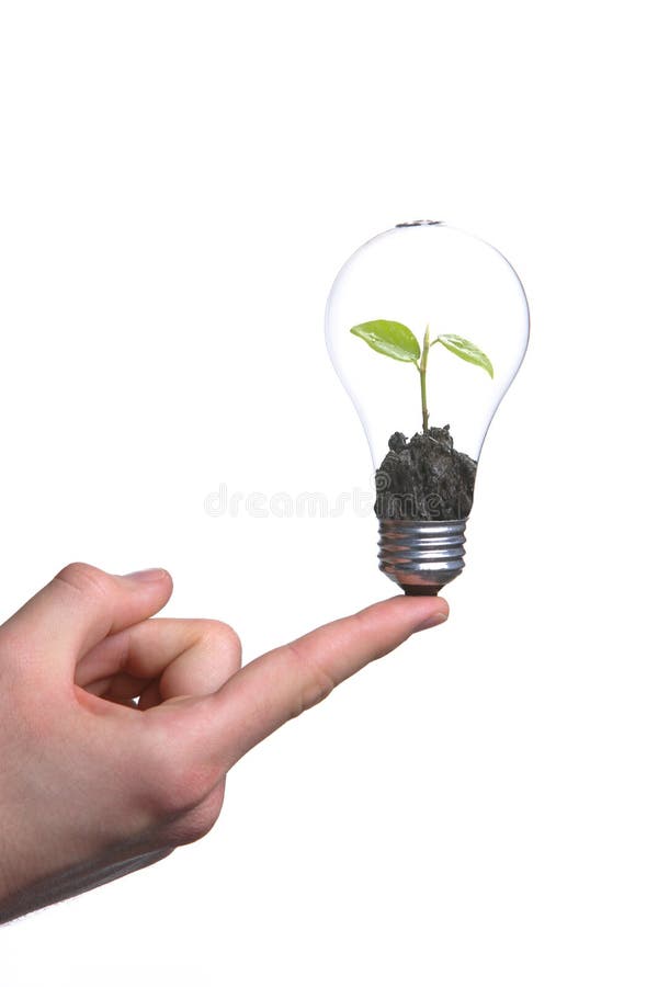 Person holding a green light bulb