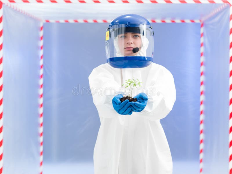 Student Analyzing in a Chemistry Lab Stock Photo - Image of natural ...