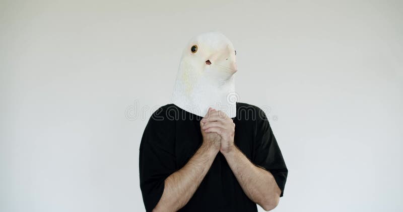 Person in Quirky Bird Maske Gesten gegen minimalistischen Hintergrund stock footage