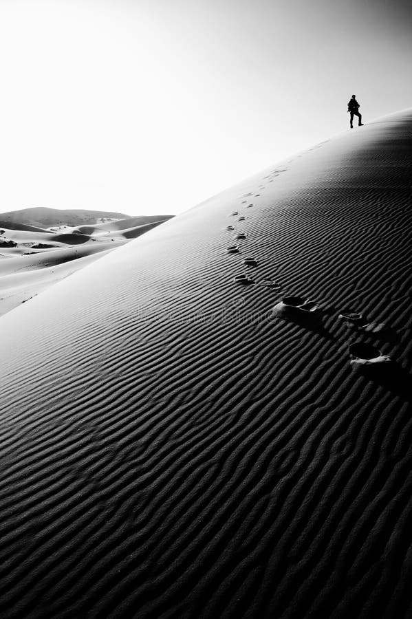 Person som överst står av en hög sanddyn i Sahara, Marocko royaltyfri fotografi Person som överst står av en hög sanddyn i Sahara, Marocko royaltyfri fotografi