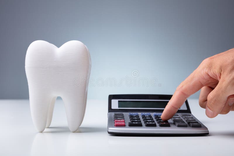 Person Using Calculator Near White Model Tooth stock photography