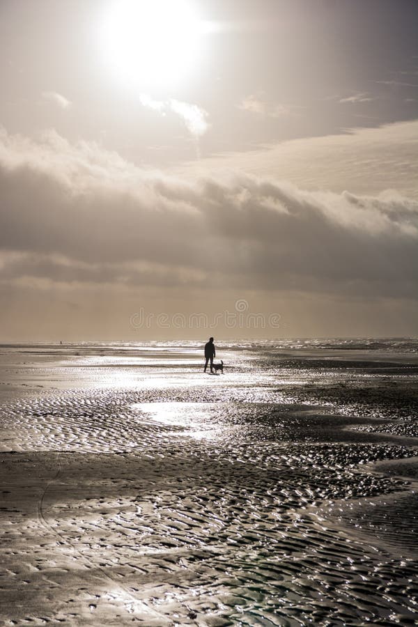 Person walking dog at stormy day at beach