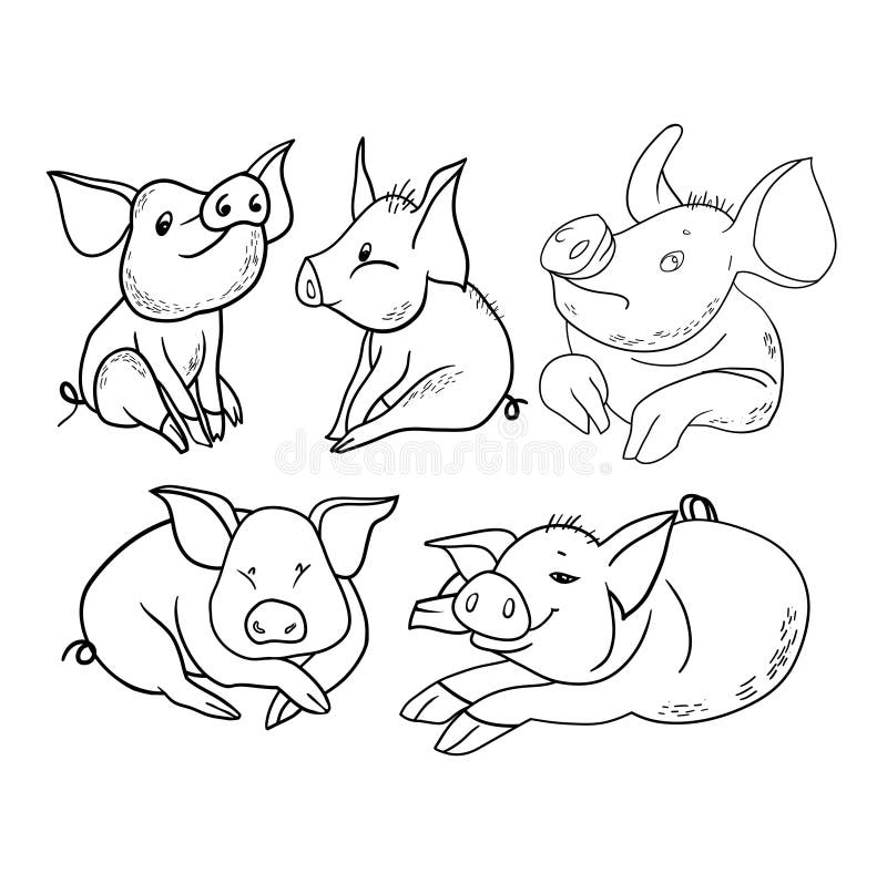 Personagem de banda desenhada do humor, porco bonito ilustração do vetor Personagem de banda desenhada do humor, porco bonito ilustração do vetor
