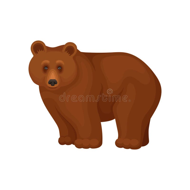 Personaje De Dibujos Animados Del Oso Marrón Grande Que Se Coloca En Cuatro Patas Animal Del Bosque Vector Plano Para El Aviador Ilustración del Vector - Ilustración de fauna, plano: 128243886 Personaje De Dibujos Animados Del Oso Marrón Grande Que Se Coloca En Cuatro Patas Animal Del Bosque Vector Plano Para El Aviador Ilustración del Vector - Ilustración de fauna, plano: 128243886