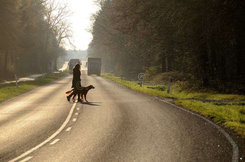 Personen med en hund korsar en väg arkivfoto Personen med en hund korsar en väg arkivfoto