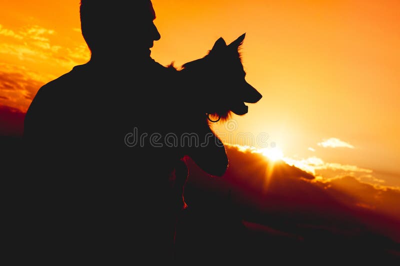 Personne méconnaissable tenant un chien Silhouette contre le crépuscule image libre de droits Personne méconnaissable tenant un chien Silhouette contre le crépuscule image libre de droits