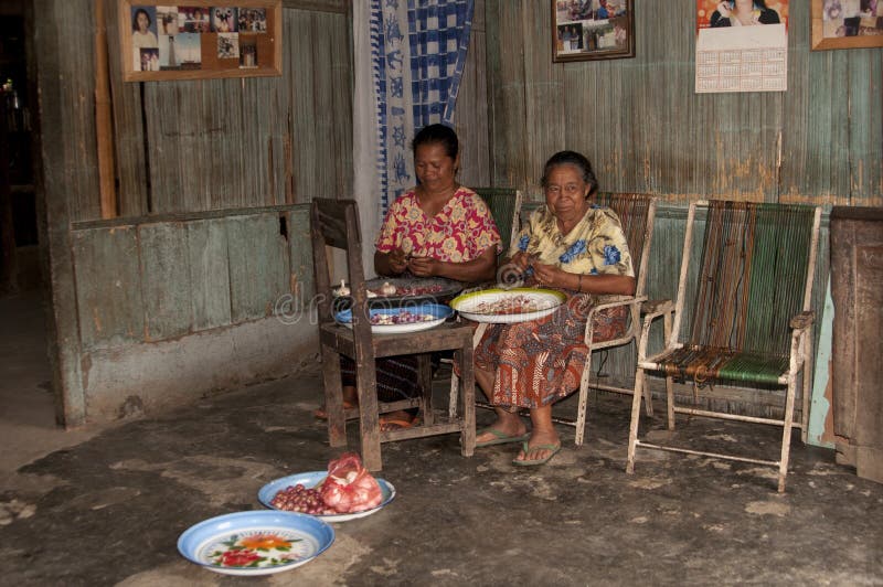 Personnes de Ngada chez Wagomenge Flores Indonésie photo libre de droits Personnes de Ngada chez Wagomenge Flores Indonésie photo libre de droits