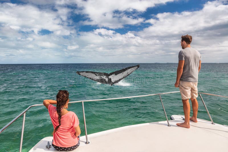 Personnes de observation de touristes de visite de bateau de baleine sur le bateau regardant la queue de bosse ouvrant une brèche