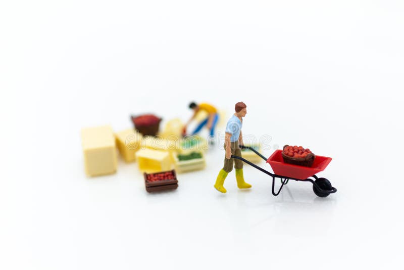 Personnes miniatures : Moisson de jardiniers des cultures agricoles Utilisation d'image pour le transport, logistique, concept de photo stock Personnes miniatures : Moisson de jardiniers des cultures agricoles Utilisation d'image pour le transport, logistique, concept de photo stock
