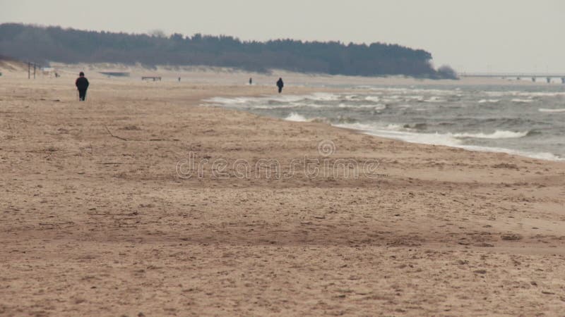 Persoonsrecreatie het noordse lopen op het strand in Palanga, Litouwen