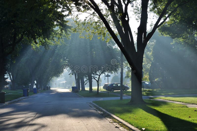 Suburbs of Chicago. Street in foggy autumn morning with beautiful sunbeams penetrating through thick mist. Suburbs of Chicago. Street in foggy autumn morning with beautiful sunbeams penetrating through thick mist.