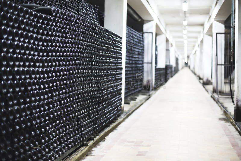 Wine bottles in vinery wine cellar