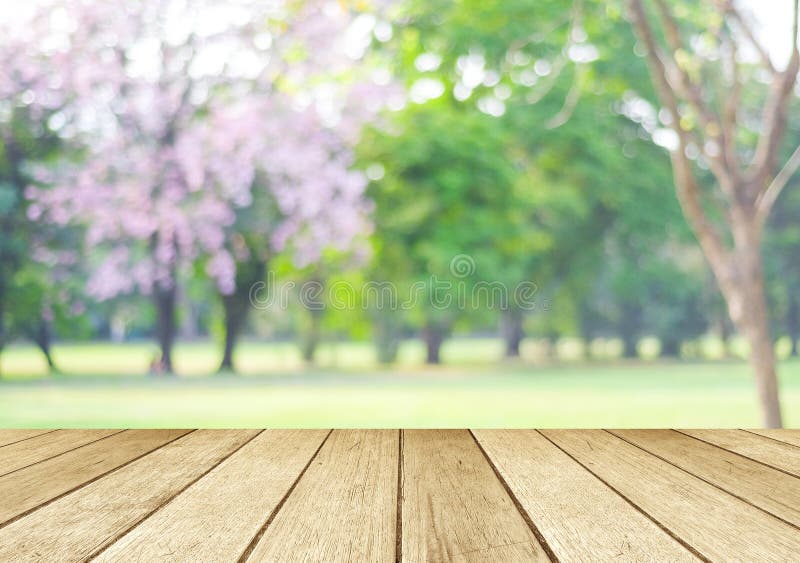 Perspective wood over blur trees with bokeh background stock photography