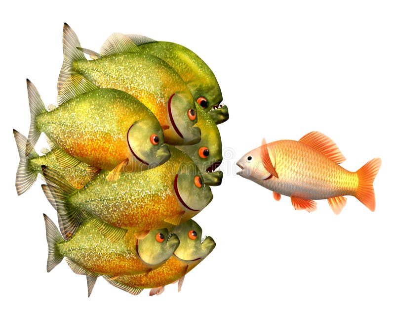 Persuasion concept, goldfish and piranhas,3d illustration with work-path