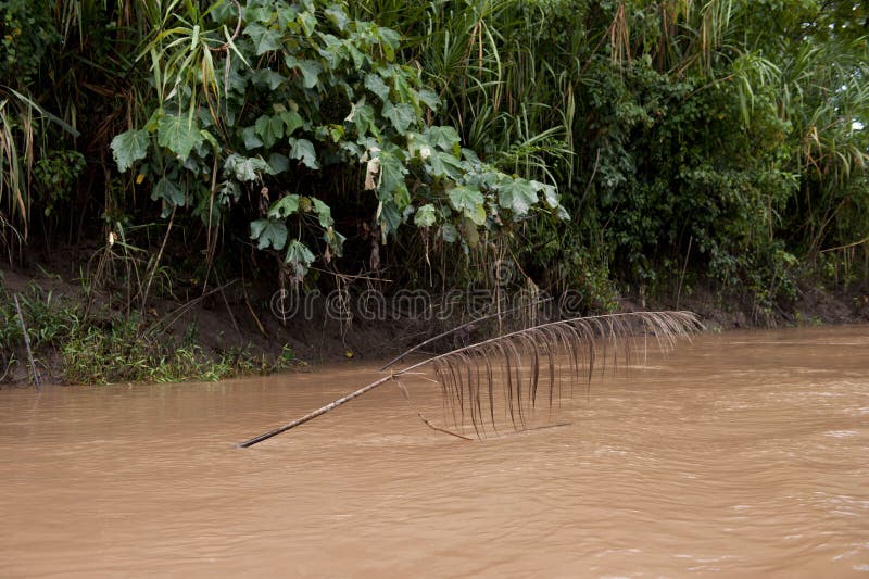 Peruansk Landskap arkivfoto