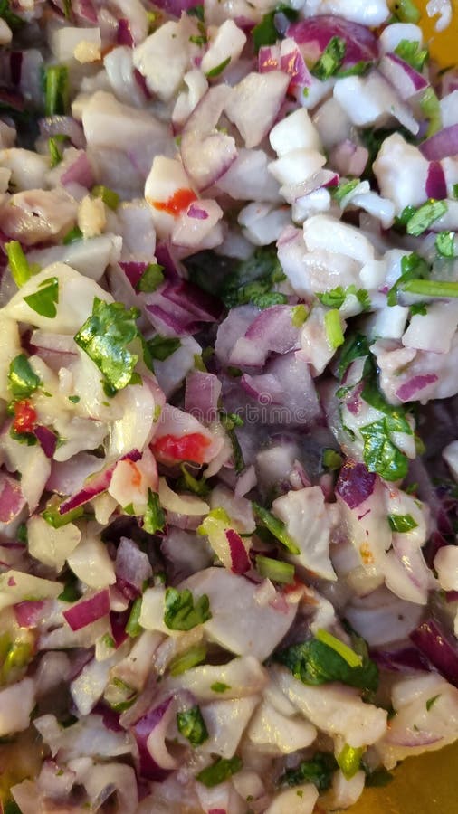 Peruvian Tilapia Ceviche, Red Onion, Cilantro, Pepper and Lemon Stock