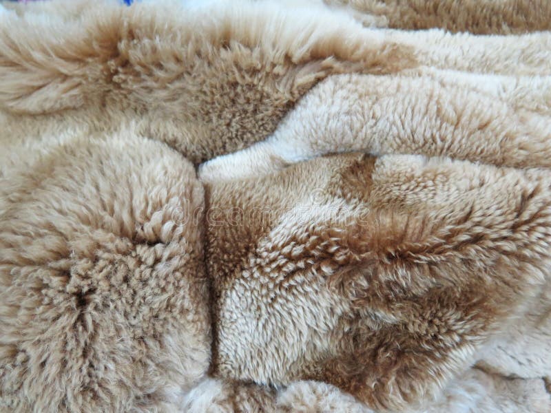 Peruvian Vicuna woolen fabric