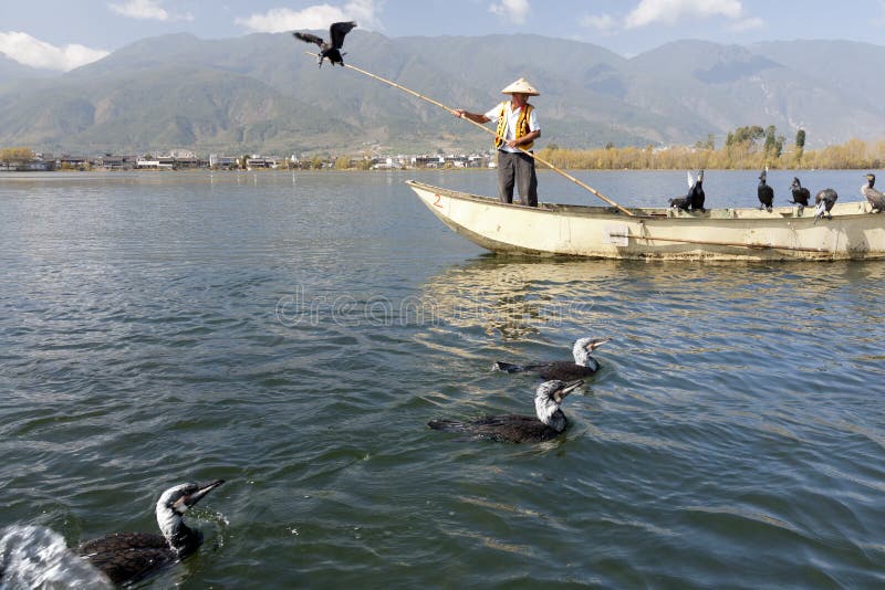 Pesca del Cormorant in Cina fotografie stock Pesca del Cormorant in Cina fotografie stock