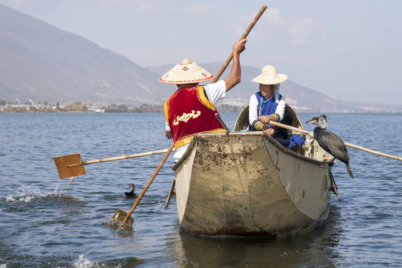 Pesca del Cormorant in Cina immagini stock libere da diritti Pesca del Cormorant in Cina immagini stock libere da diritti