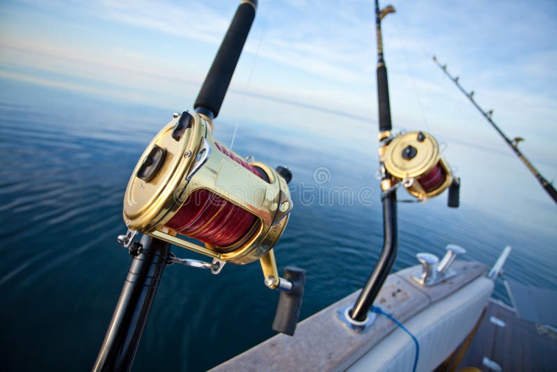 Pesca del gran gioco fotografie stock libere da diritti Pesca del gran gioco fotografie stock libere da diritti